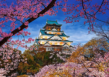 The Harmony Of Spring, cherry, temple, blossoms, japan, garden HD wallpaper