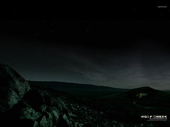 Wolf Creek, night, animal, creek, animals, sky, nature, stars, wolf HD wallpaper