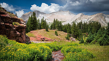 Snowmass Mountain, Colorado, usa, wildflowers, clouds, landscape, trees, sky, rocks HD wallpaper