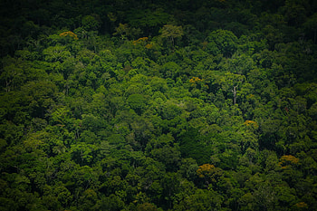Congolese travels, Partners and collaborators, Rights resources, Identified HD wallpaper