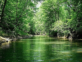 Calm River, trees, river, calm, rocks HD wallpaper