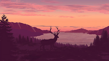 Reindeer minimalist, Sunset art, , Captivating HD wallpaper
