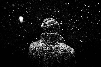 Monochrome, winter, snowfall, outdoor HD wallpaper