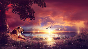 King Enjoying The Sunset, lion, animals, deviantart HD wallpaper