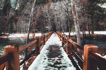 Winter, Nature, Trees, Snow, Bridge, Spring HD wallpaper