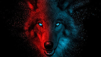Wolf scary, Mysterious creature, Haunting eyes, Dark and foreboding HD wallpaper