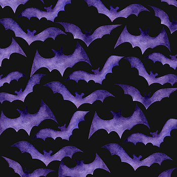 Purple bats, halloween HD phone wallpaper