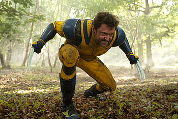 Wolverine in Action: Movie, Deadpool & Wolverine, Hugh Jackman HD wallpaper