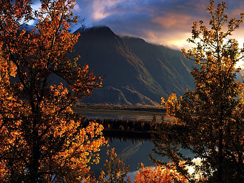 Landscape, Autumn HD wallpaper