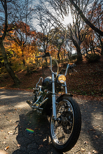 Motorcycles, Motorcycle, Bike, Chopper HD phone wallpaper