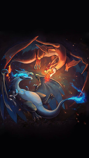 Charizard and Charizard Mega Evolution HD phone wallpaper