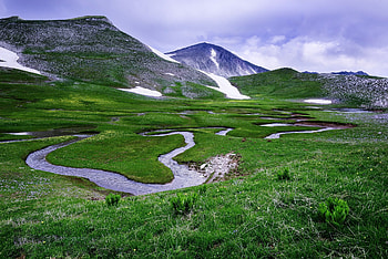 Grassland nature green, , Colors grass , Explore grassland HD wallpaper
