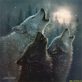 Wolf chorus, animal, wildlife, painting, moon, art, wolf HD wallpaper