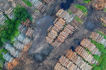 High-altitude shot of stacked logs in a deforested area, showcasing timber and environmental impact. HD wallpaper