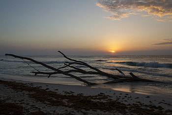 Nature, Sky, Sun, Horizon, Snag HD wallpaper