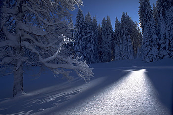 Weak Winter Sun, shadows, glow, snow, trees, sky, beautiful, sun HD wallpaper