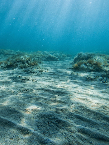 Nature, Water, Sand, Coral, Beams, Rays, Bottom HD phone wallpaper