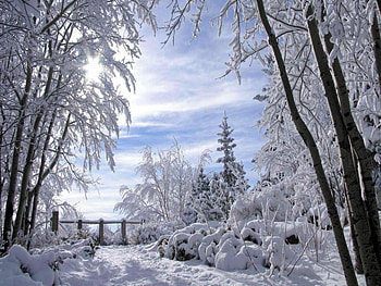 Landscape, Winter HD wallpaper