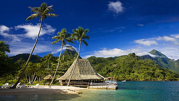 High-definition, , Stunning visuals HD wallpaper