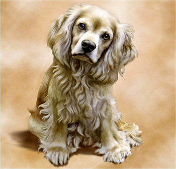 Toby (DETAIL), by Barbara Hymer, dog, puppy, digital, art, cute, barbara hymer HD wallpaper