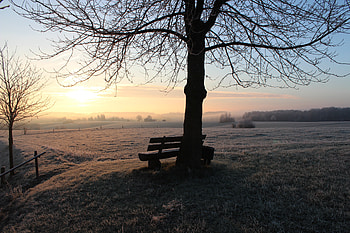 Winter, Nature, Dawn, Seclusion, Privacy, Silence, Frost, Hoarfrost, Bench HD wallpaper
