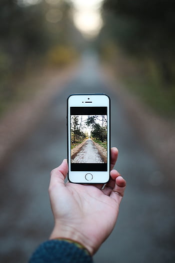 A smart displays a of a forest path, showing modern technology. HD phone wallpaper