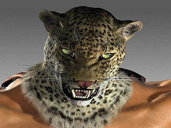Man_Cat, otherts, king, animals, cat, people, tekken HD wallpaper