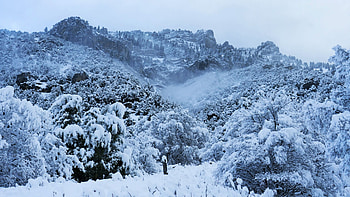 Blacksmith Fork Canyon, Utah, trees, fog, mountains, snow, sky HD wallpaper