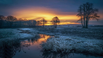 Frosty Morning, river, hills, clouds, landscape, trees, colors, sky, sunrise HD wallpaper