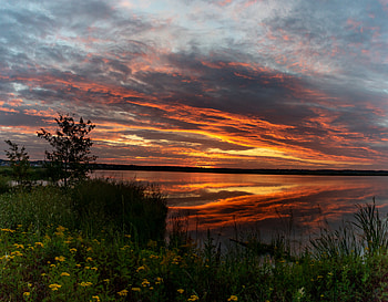 Nature, Water, Sunset, Bush, Horizon HD wallpaper