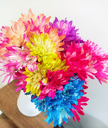 Flores primavera md, love, naturaleza, natural, belleza, colores, flor, Petal, colors, flower HD phone wallpaper