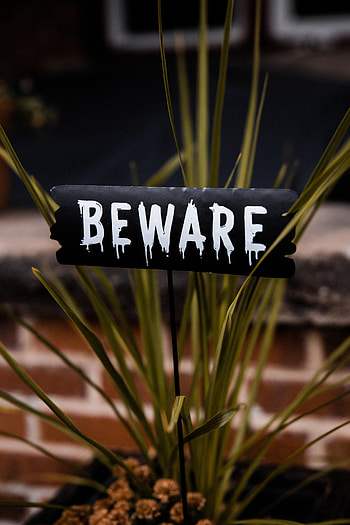 Words, Inscription, Nameplate, Plate, Text, Word, Warning, Beware HD phone wallpaper