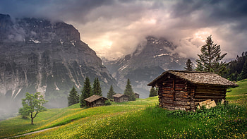Spring in Swiss Mountains, morning, clouds, landscape, cabins, trees, sky, alps, sunrise, misty HD wallpaper