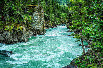 Waterfall in the forest, pretty, forest, green, waterfall, nature, tree, nice HD wallpaper