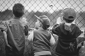 Black and white of three young boys peering through a chain-link fence. HD wallpaper