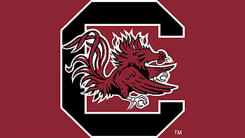 South Carolina Gamecocks, Logo brands, Sports team, University HD wallpaper