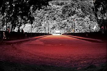Red Bridge, Road, COnstruction, Bridge, Tress HD wallpaper
