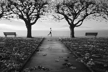 AUTUMN MARATHON, graphy, bw, autumn, run, natrue, sport, park, sprint HD wallpaper