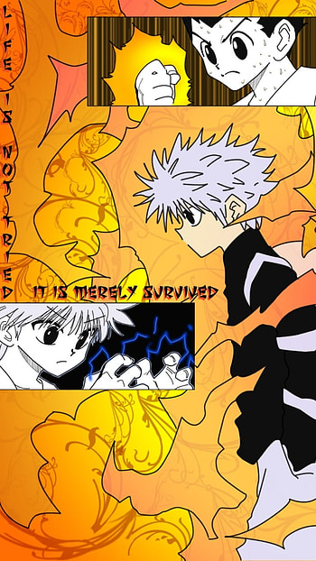 Anime, Hunter x Hunter HD phone wallpaper