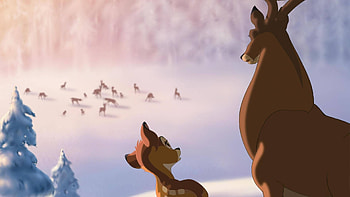 Bambi DVD box, Cinema collection, Expert Technomarkt, Home entertainment HD wallpaper
