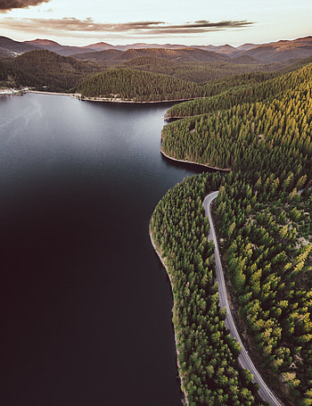 Nature, View From Above, Lake, Shore, Bank, Road, Forest, Hills HD phone wallpaper