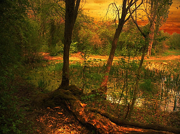 autumn, colors, nature, lake, sunset HD wallpaper