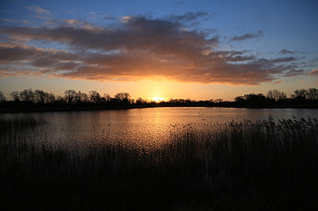 Nature, Water, Sunset, Grass, Glare HD wallpaper