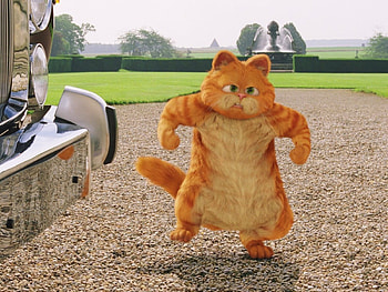 Funny, Cartoon, Cats, Garfild HD wallpaper