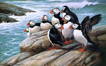 Puffins, painting, bitds, ocean, rock HD wallpaper