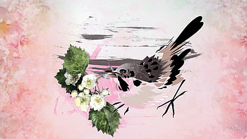 Summer Bird Impression, pink, bird, strawberries, blossoms, paint, blooms, spring HD wallpaper