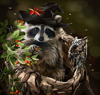 Halloween Buddies, raccoon, leaves, owl, hat HD wallpaper