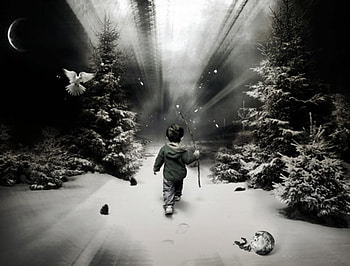 ALL ALONE, trees, kid, bird, moon HD wallpaper