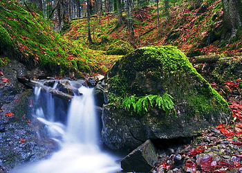 Waterfall In The Forest, graphy, beautiful, grass, rocks, nice, green, waterfall, amazing, water, lovely, forest HD wallpaper