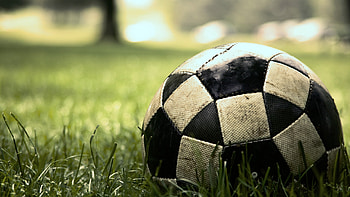 Grass, Macro, Lawn, Football HD wallpaper